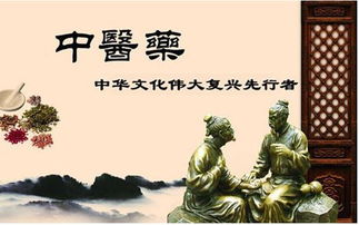 絲路傳杏林，仁心潤萬邦 中醫學者譚鎮平推動中醫藥文化在新時代絲路上綻放異彩