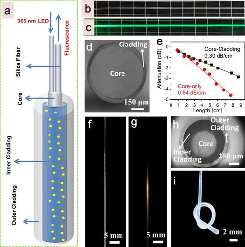 華南理工大學張勤遠團隊開發Mn2+摻雜雙波長發射材料，推動可穿戴光纖溫度傳感器與成像應用