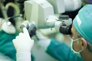 光纖成像材料與激光技術 發展脈絡、特性解析與應用前景